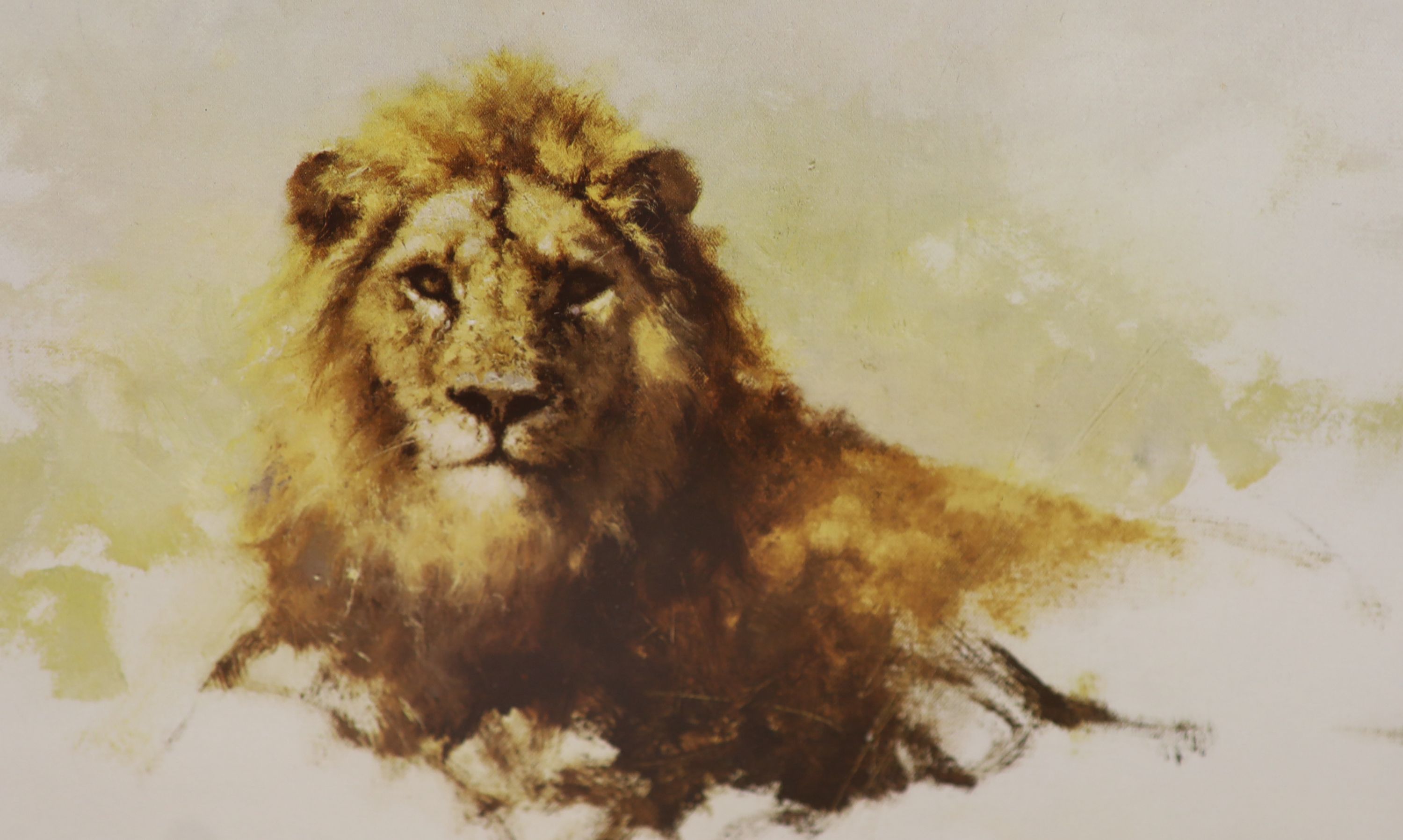 Three David Shepherd limited edition prints; Lion Sketch, Tiger Sketch and Rhino Reverie, signed in pencil and numbered, largest 29 x 44cm